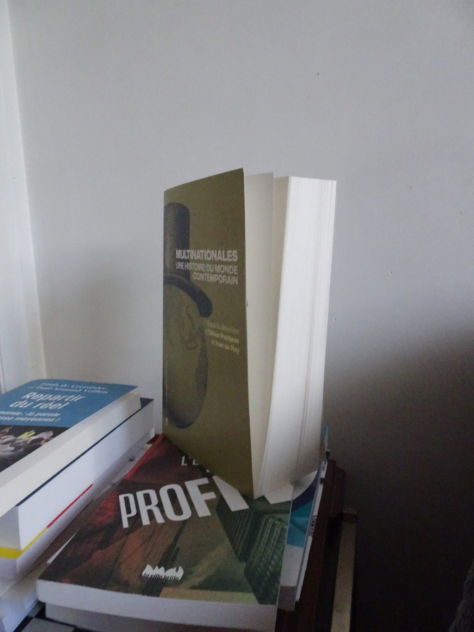 Oliver PETITJEAN et Ivan du ROY, Multinationales. Une histoire du monde contemporain, La Découverte, 853 pages.